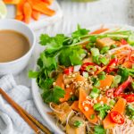 Satay Papaya Noodles Gluten Free Recipe
